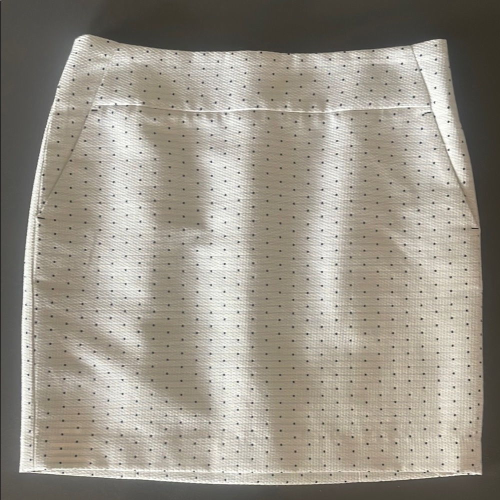 Ann Taylor Skirt